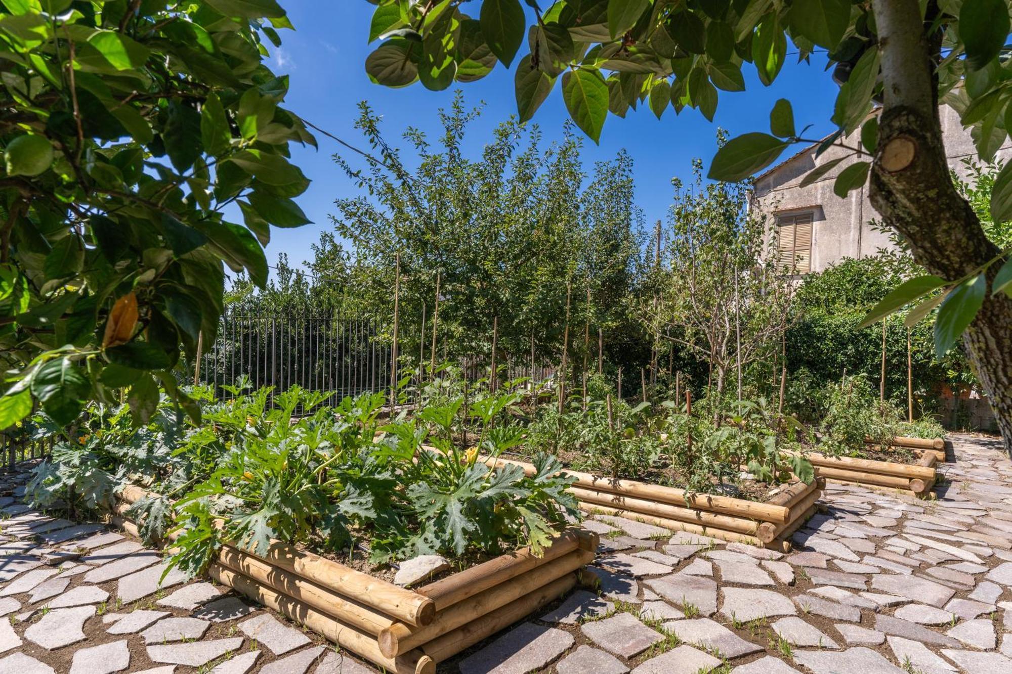 Villa Solatia Massa Lubrense Eksteriør billede